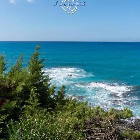 Marina Centro Livorno