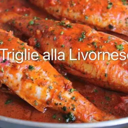 Marina Centro Appartement